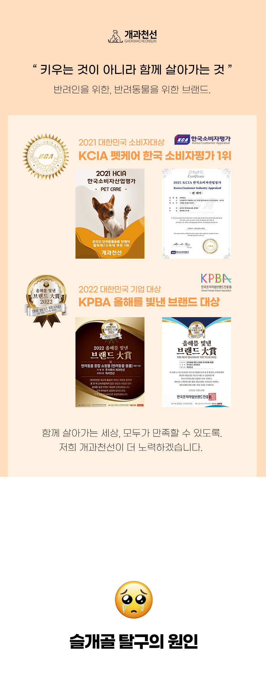 [NEW신상][무료배송] 개과천선 독 방울 펫스텝 계단 그레이 4단 2번째