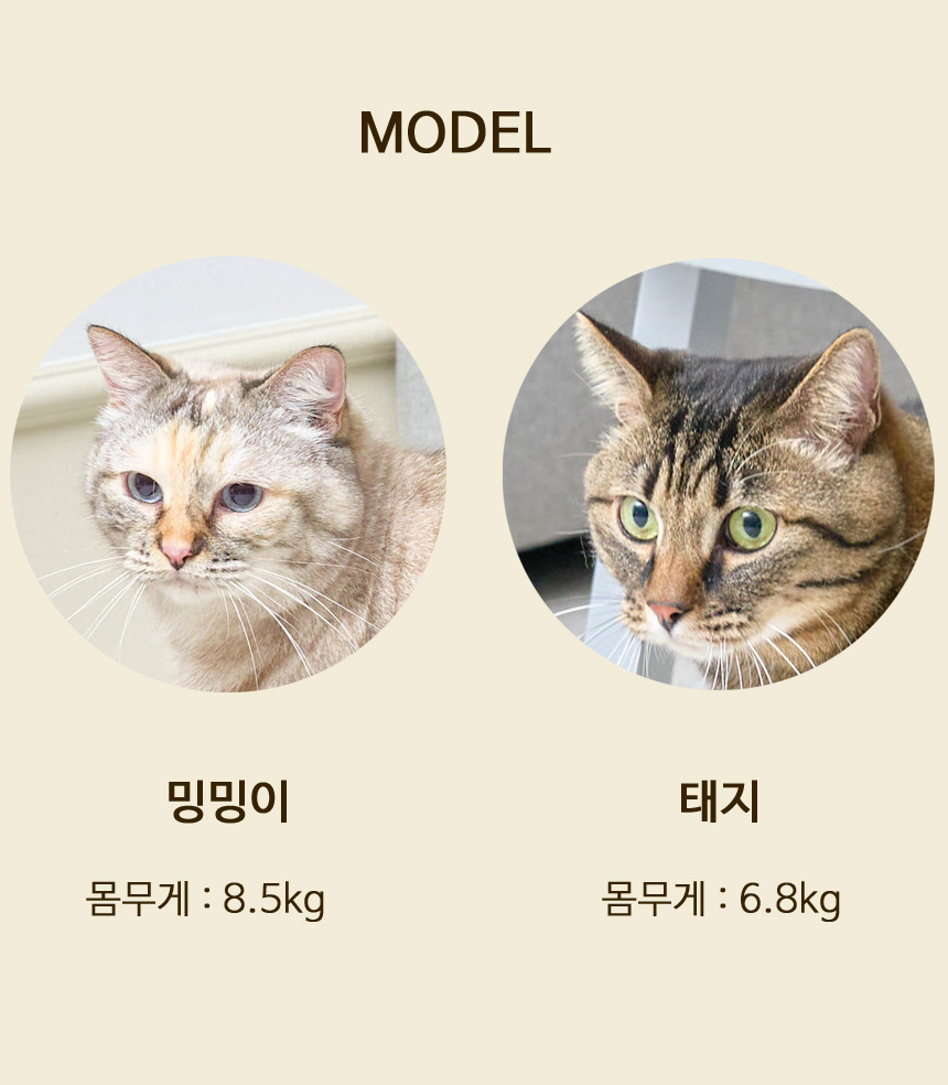 [무료배송] 뽀떼 릴렉스 베드 스크래쳐 16번째