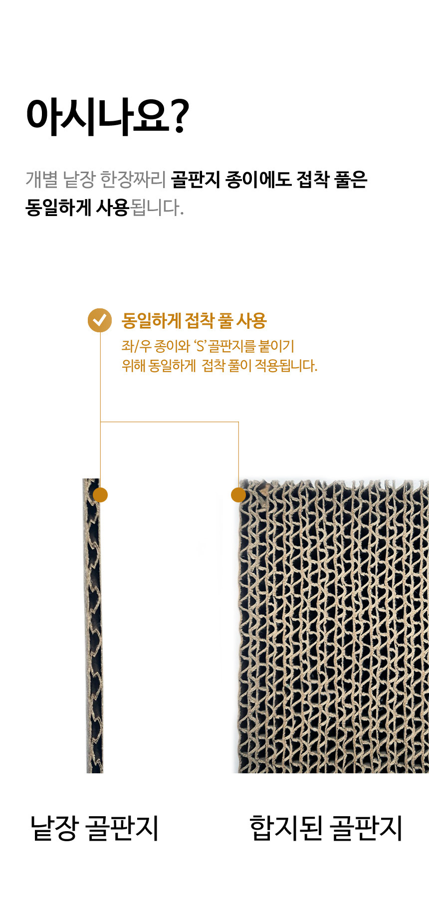 [무료배송] 뽀떼 릴렉스 베드 스크래쳐 12번째