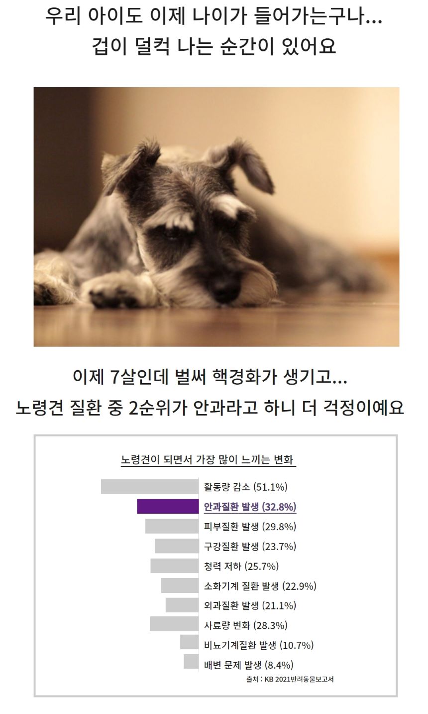 [무료배송] 에버모어 브라이트닝포뮬러 아이즈앤덴탈 영양제 150g 2번째