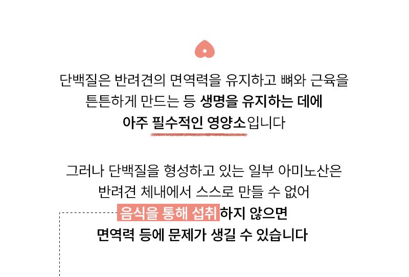 더마독 피부 모질 사료 2kg 6번째