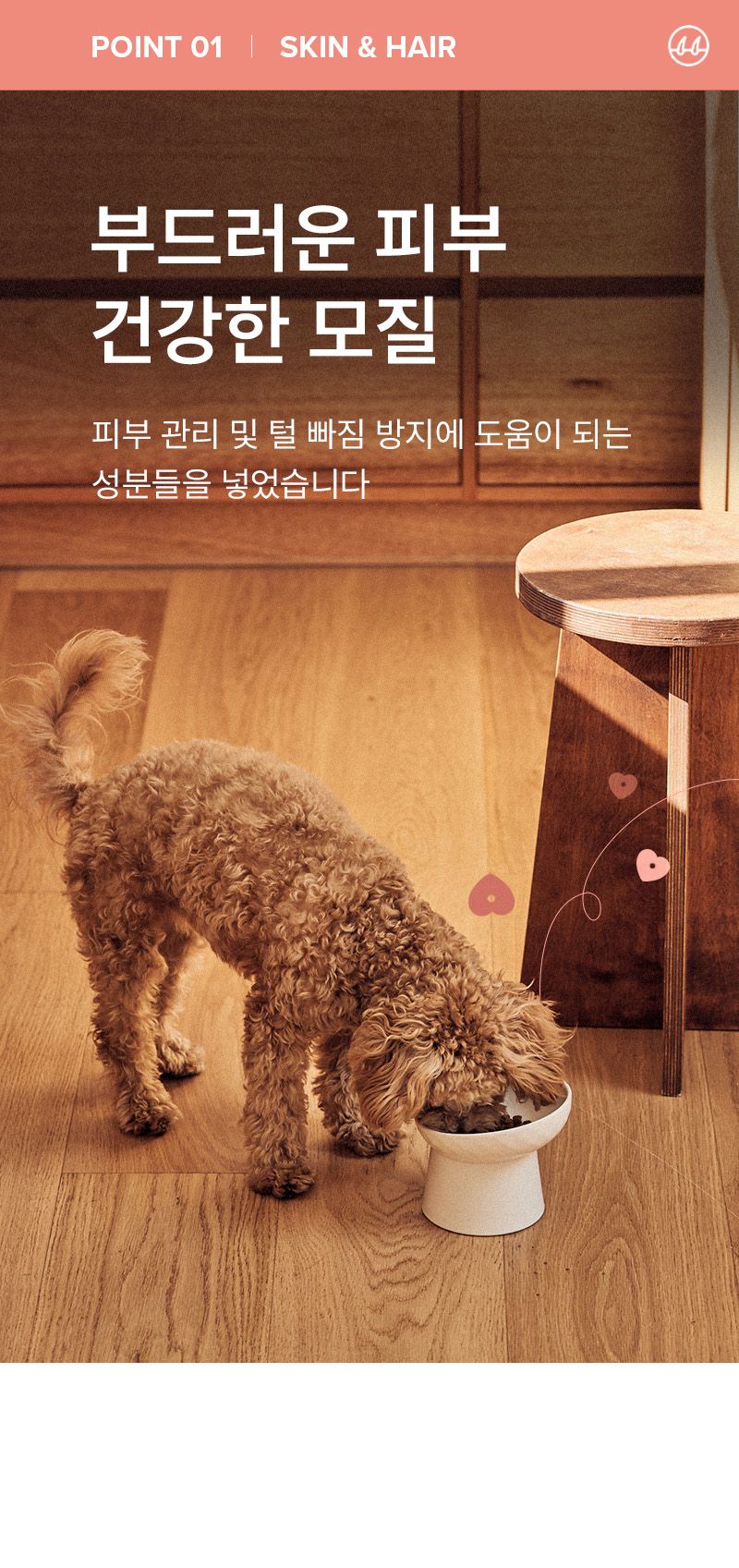 더마독 피부 모질 사료 2kg 3번째