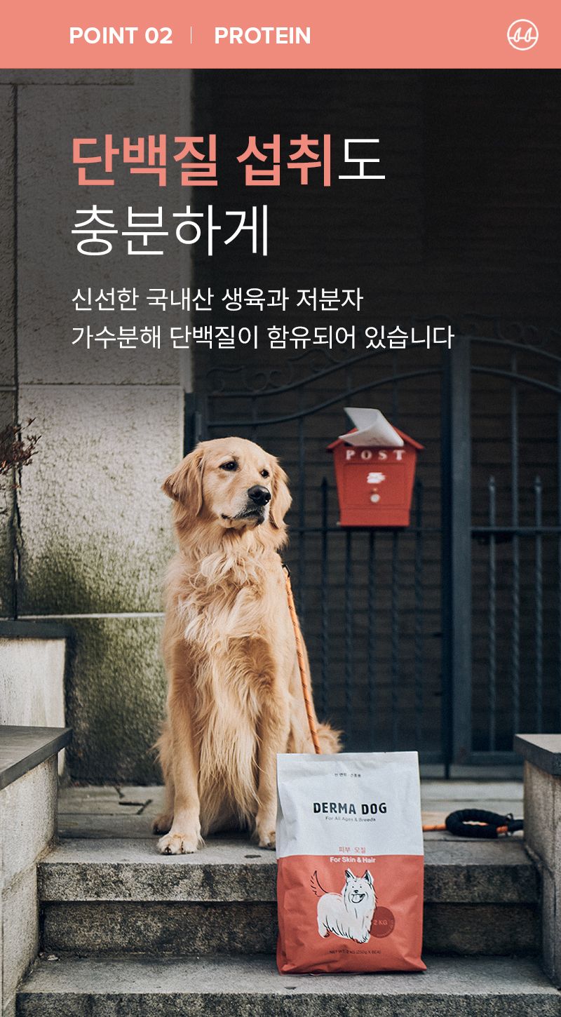 더마독 피부 모질 사료 2kg 5번째