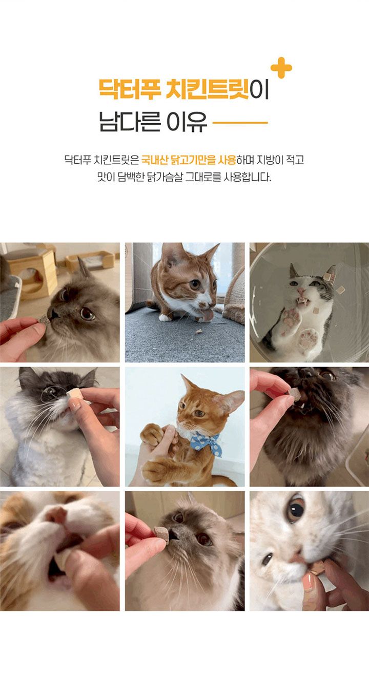 [무료배송] 닥터푸 대용량 동결건조 치킨트릿 320g 3번째