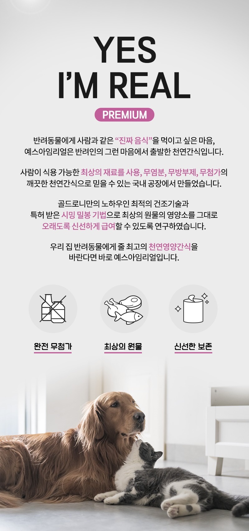 [무료배송] [추가증정] 골드로니 예스아임리얼 눈물작별 한우간 160g + 순살스틱 2p 증정 2번째