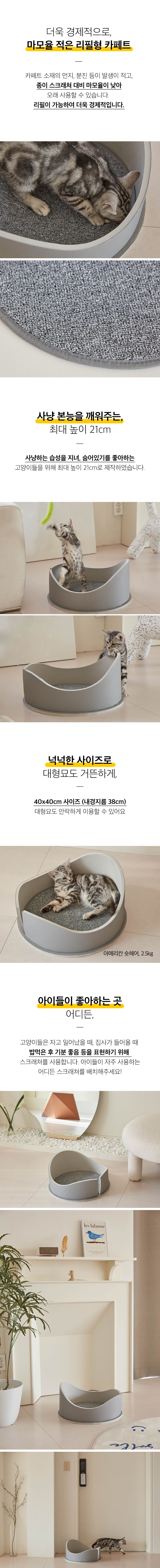 써니데이즈 반영구 스크래쳐  5번째