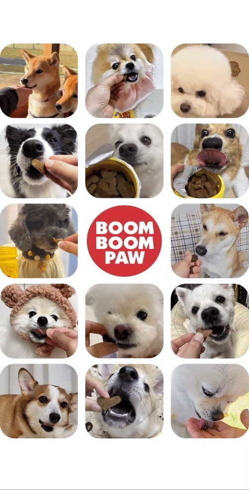 [NEW신상]붐붐포 독 슈퍼바이트 5in1 종합 멀티 케어 영양제 300g 1번째