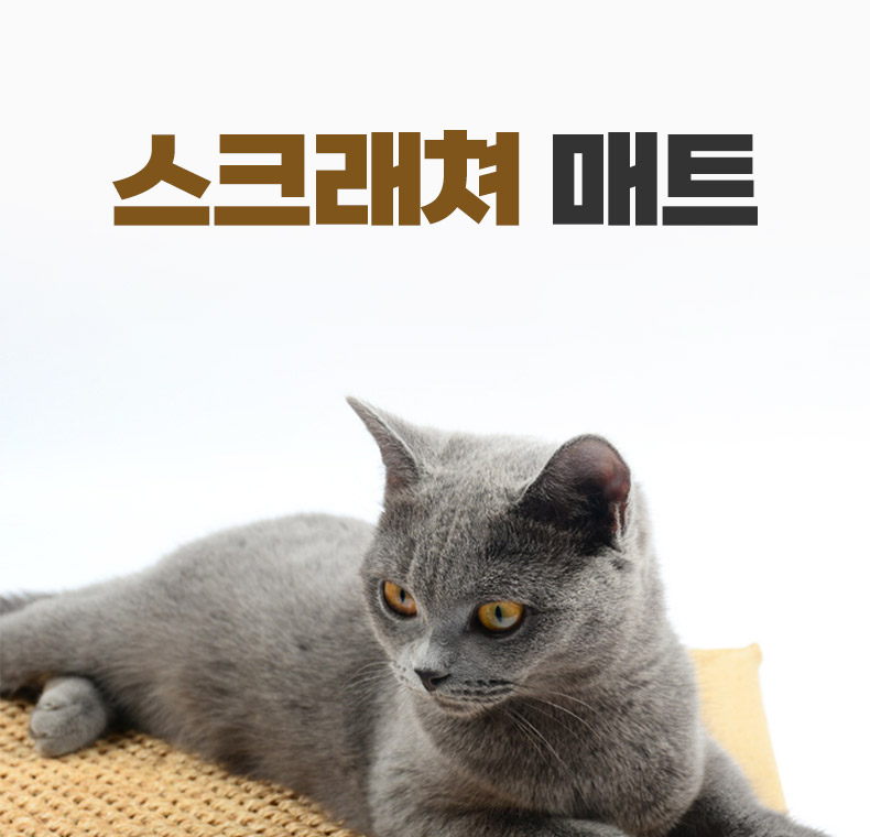 [NEW신상][무료배송] 펫볼루션 고양이 스크래칭 사이잘삼 매트 (랜덤 발송) 2번째