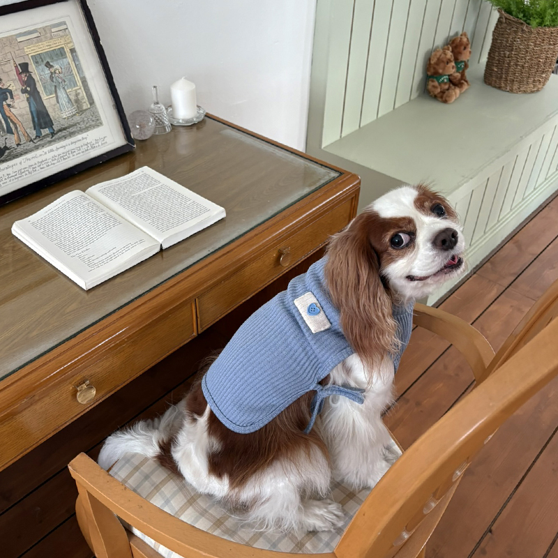 [NEW신상][무료배송] 해피댕댕 하트단추케이프조끼 4종 (아이보리,핑크,블루,브라운) S-XL 14번째