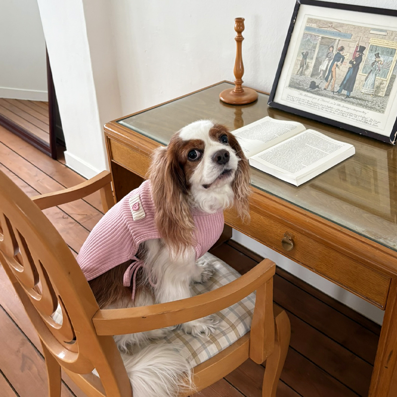 [NEW신상][무료배송] 해피댕댕 하트단추케이프조끼 4종 (아이보리,핑크,블루,브라운) S-XL 7번째