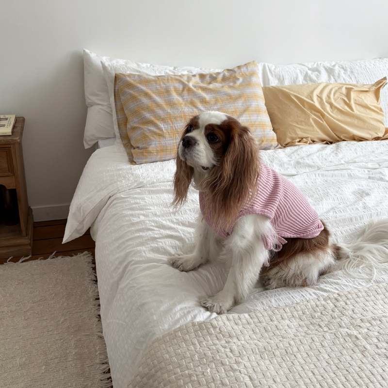 [NEW신상][무료배송] 해피댕댕 하트단추케이프조끼 4종 (아이보리,핑크,블루,브라운) S-XL 10번째