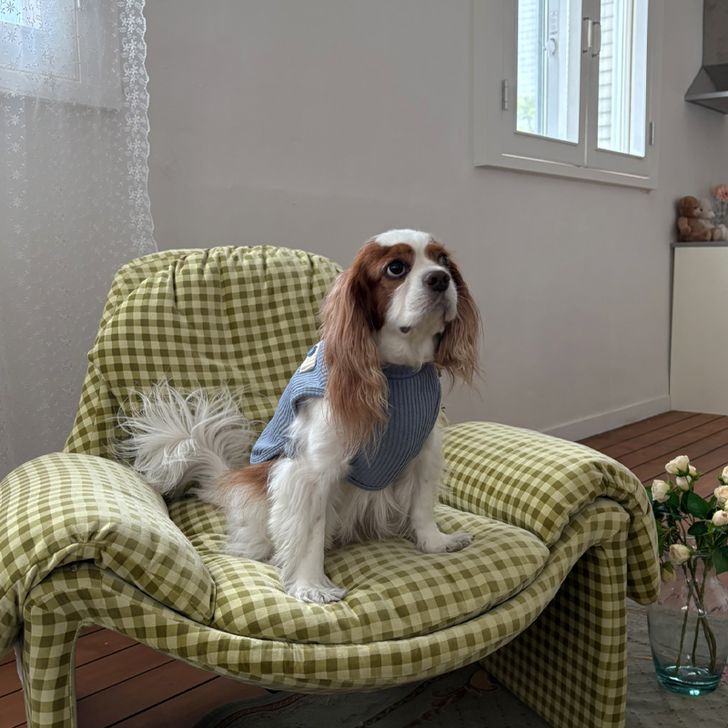 [NEW신상][무료배송] 해피댕댕 하트단추케이프조끼 4종 (아이보리,핑크,블루,브라운) S-XL 15번째