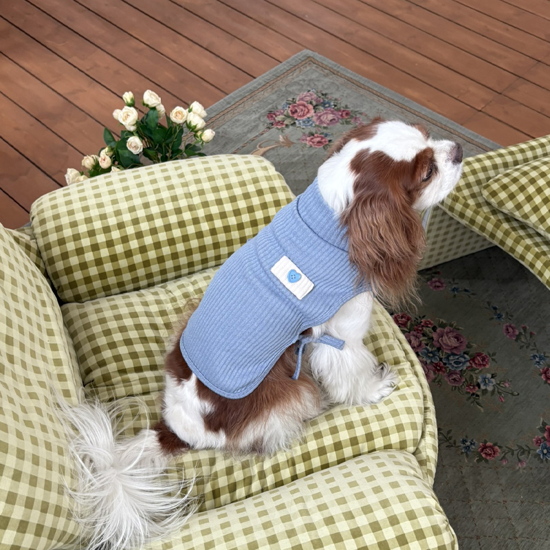 [NEW신상][무료배송] 해피댕댕 하트단추케이프조끼 4종 (아이보리,핑크,블루,브라운) S-XL 16번째