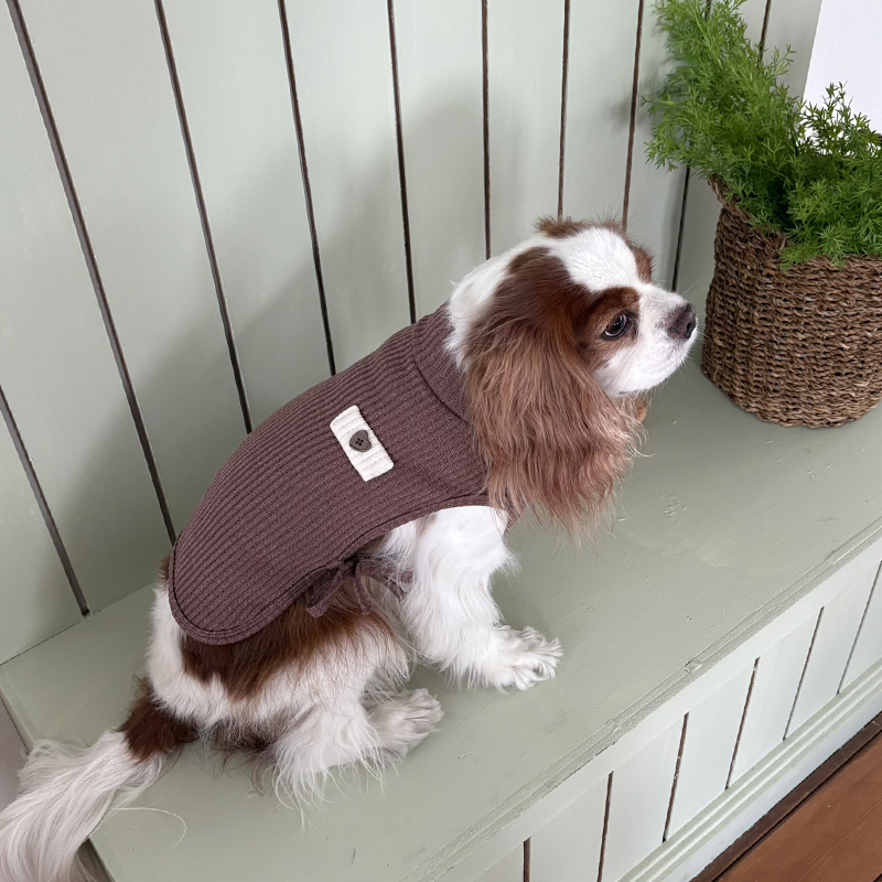 [NEW신상][무료배송] 해피댕댕 하트단추케이프조끼 4종 (아이보리,핑크,블루,브라운) S-XL 26번째