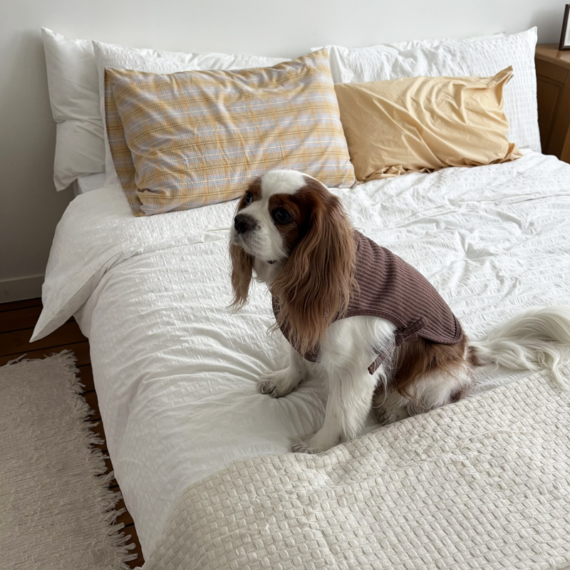 [NEW신상][무료배송] 해피댕댕 하트단추케이프조끼 4종 (아이보리,핑크,블루,브라운) S-XL 27번째