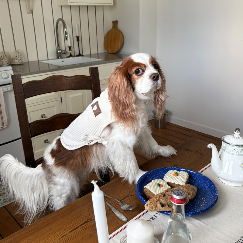 [NEW신상][무료배송] 해피댕댕 하트단추케이프조끼 4종 (아이보리,핑크,블루,브라운) S-XL 21번째