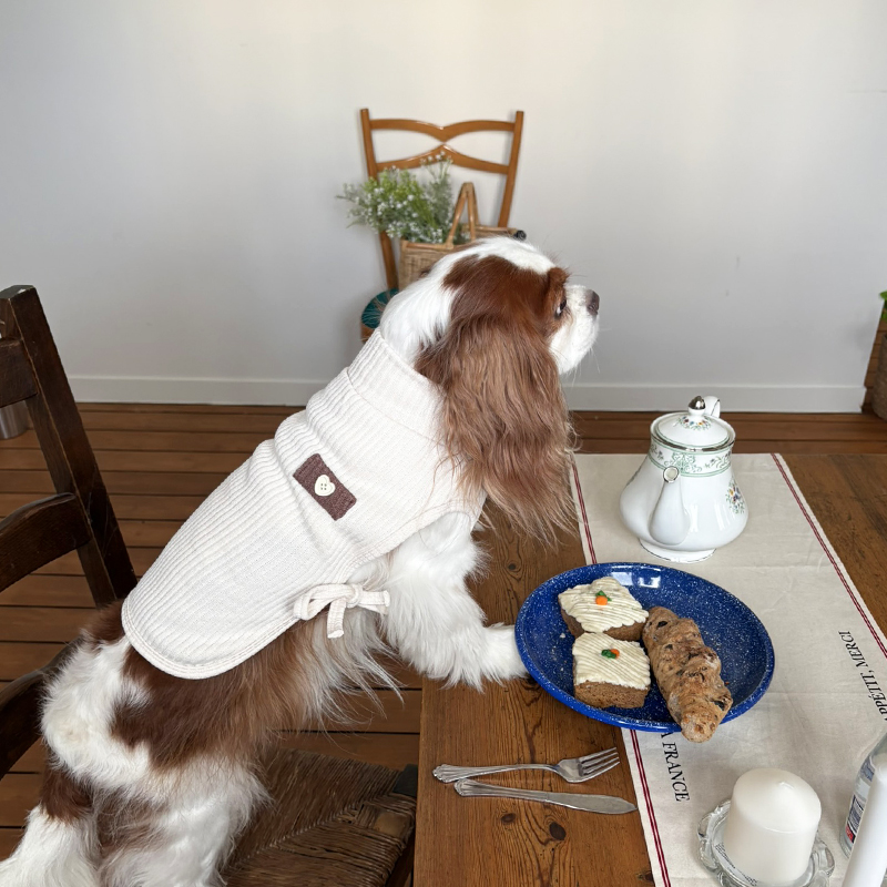 [NEW신상][무료배송] 해피댕댕 하트단추케이프조끼 4종 (아이보리,핑크,블루,브라운) S-XL 22번째