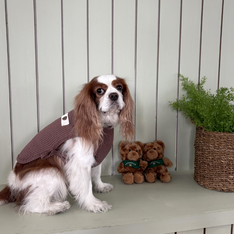 [NEW신상][무료배송] 해피댕댕 하트단추케이프조끼 4종 (아이보리,핑크,블루,브라운) S-XL 25번째