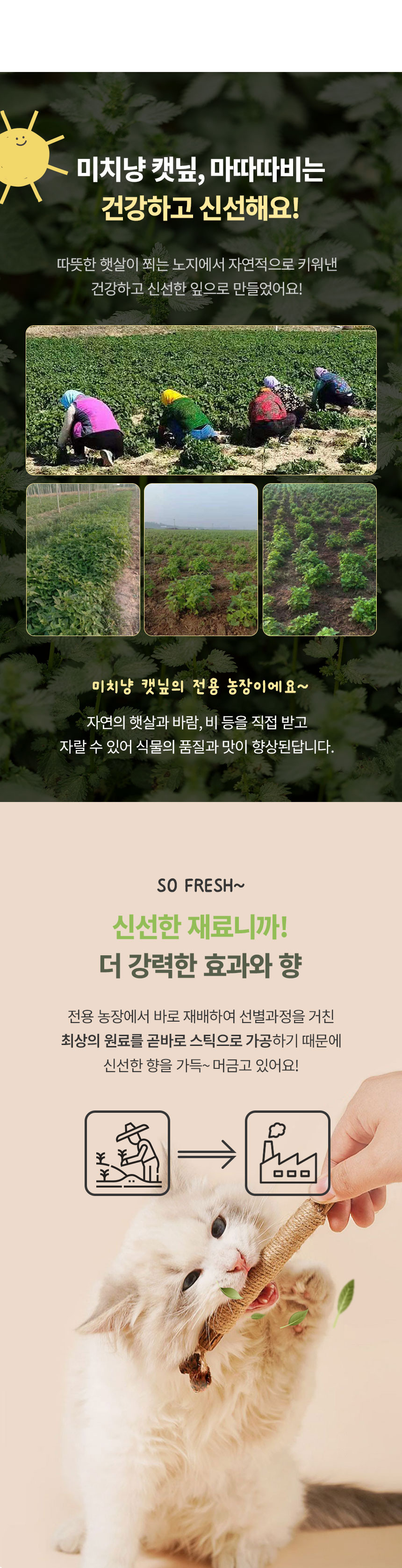 [3개] 크레용펫 미치냥 와그작 이갈이 장난감 마따따비/캣닢 5번째