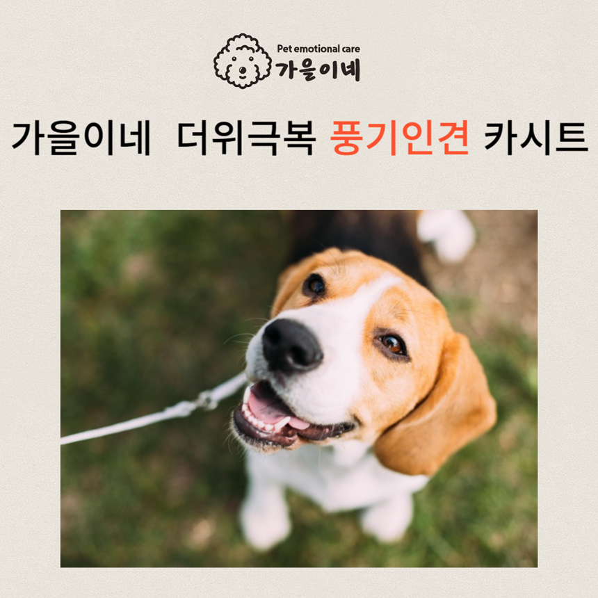 [무료배송] 가을이네 독 시원한 인견 카시트 크림아이보리/실버그레이 1번째
