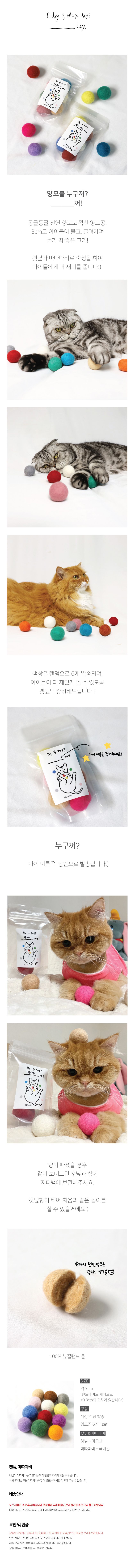 [무료배송] [색상랜덤] 블랭크데이 양모볼 누구꺼? 양모볼 6p+캣닢 증정 1번째