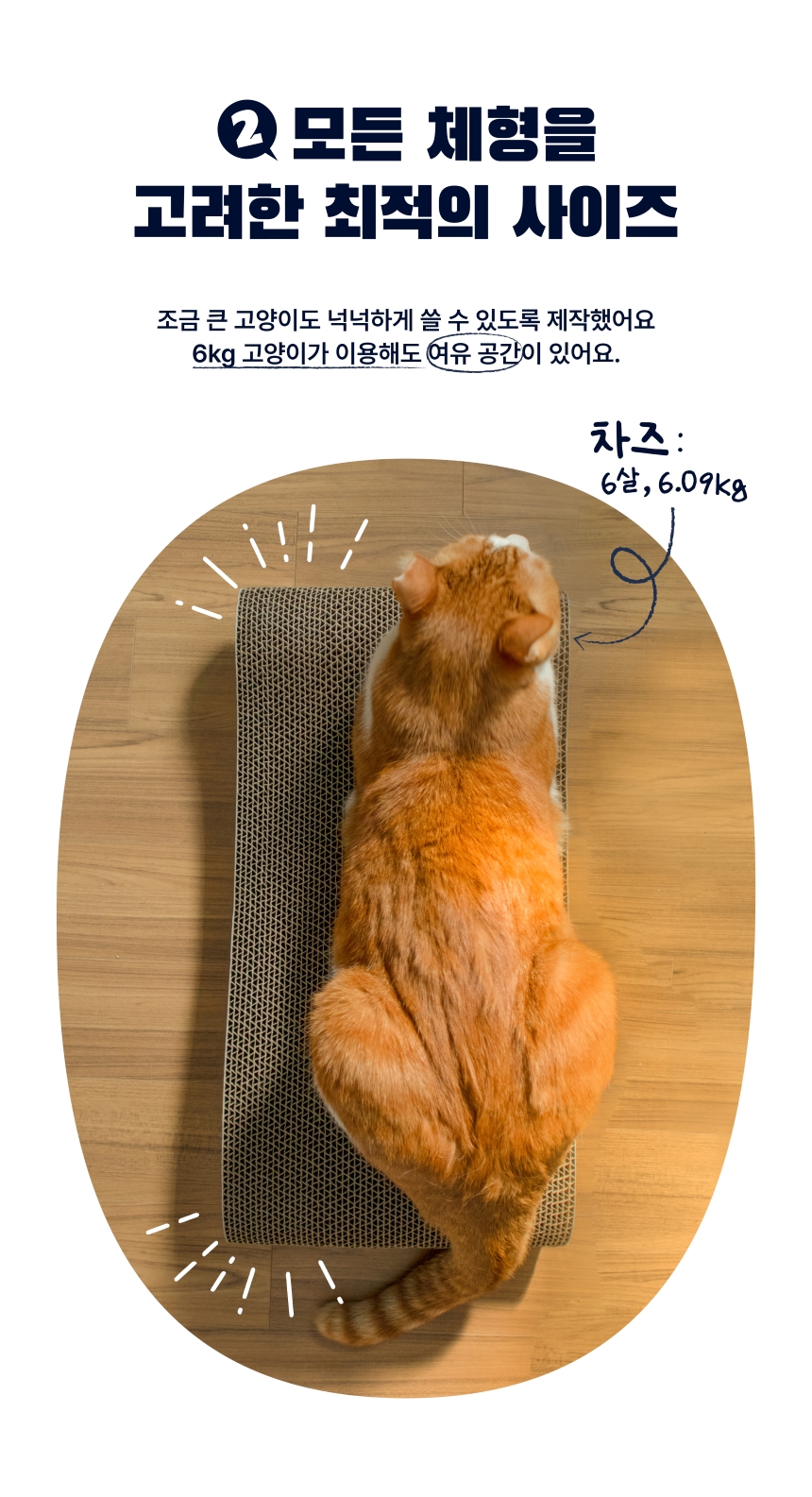 차즈마켓 빅웨이브 대형 스크래쳐 소파형 4번째