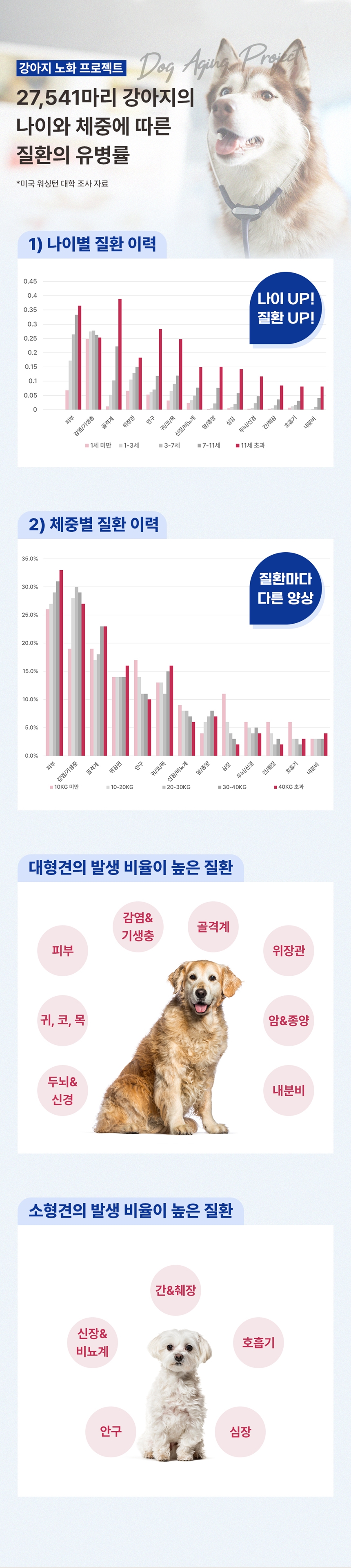 [무료배송] 브랜바인 독 종합 피부 영양제 72g 5번째