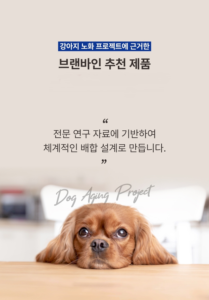 [무료배송] 브랜바인 독 종합 피부 영양제 72g 6번째