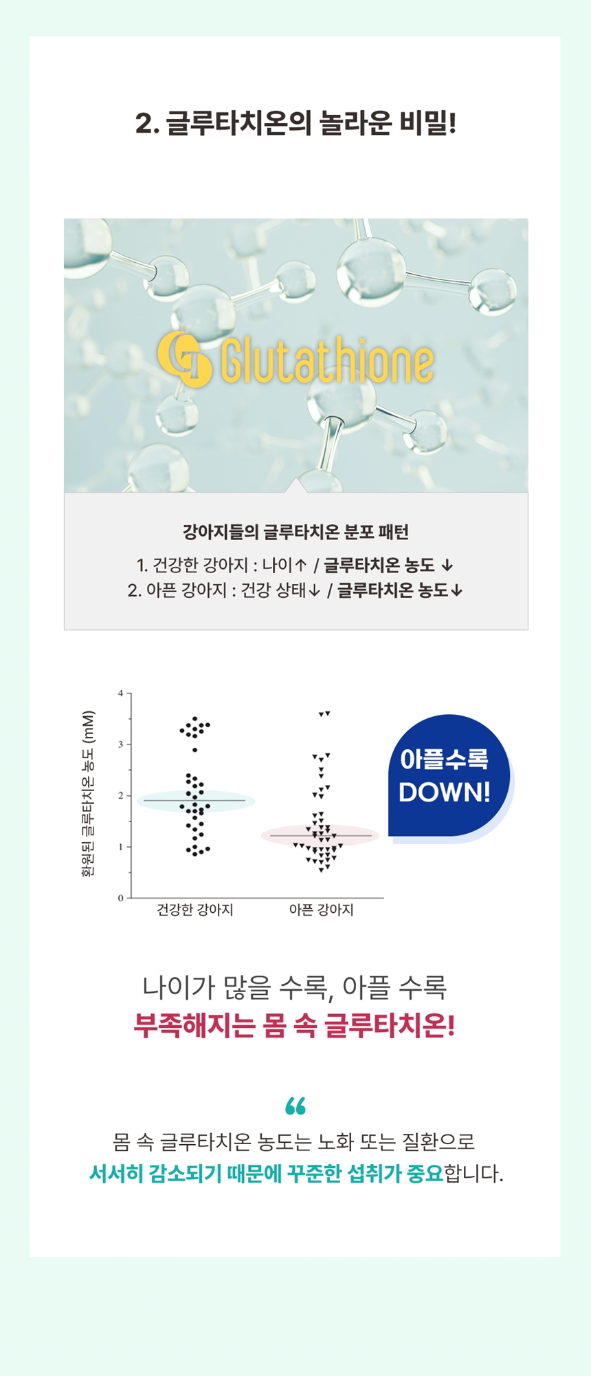 [무료배송] 브랜바인 독 종합 피부 영양제 72g 10번째