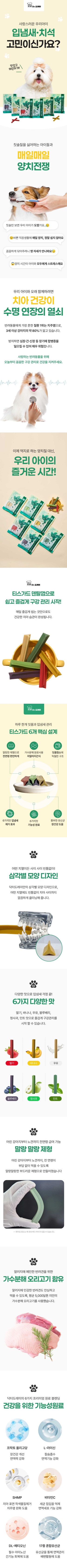 [NEW신상][무료배송] [3개] 닥터도레미 티스가드 덴탈껌 구강케어 민트 100g 1번째