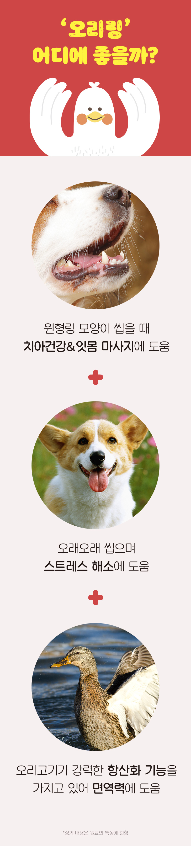 [NEW신상][무료배송] 뉴알엑스 오리링 13개입 130g 4번째