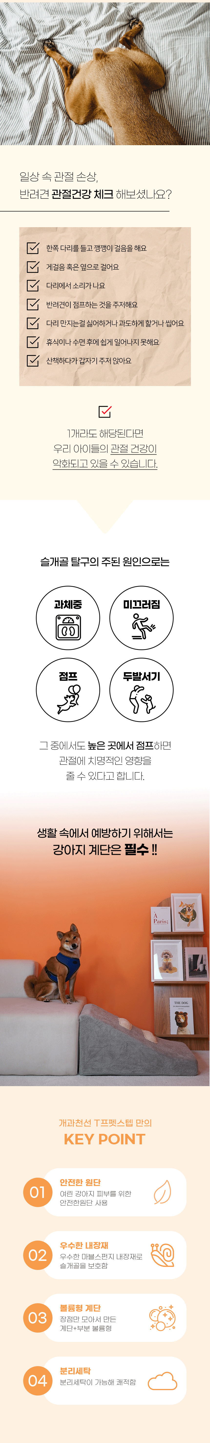 [NEW신상][무료배송] 개과천선 독 티프펫 펫스텝 계단 (아이보리/그레이) 2번째
