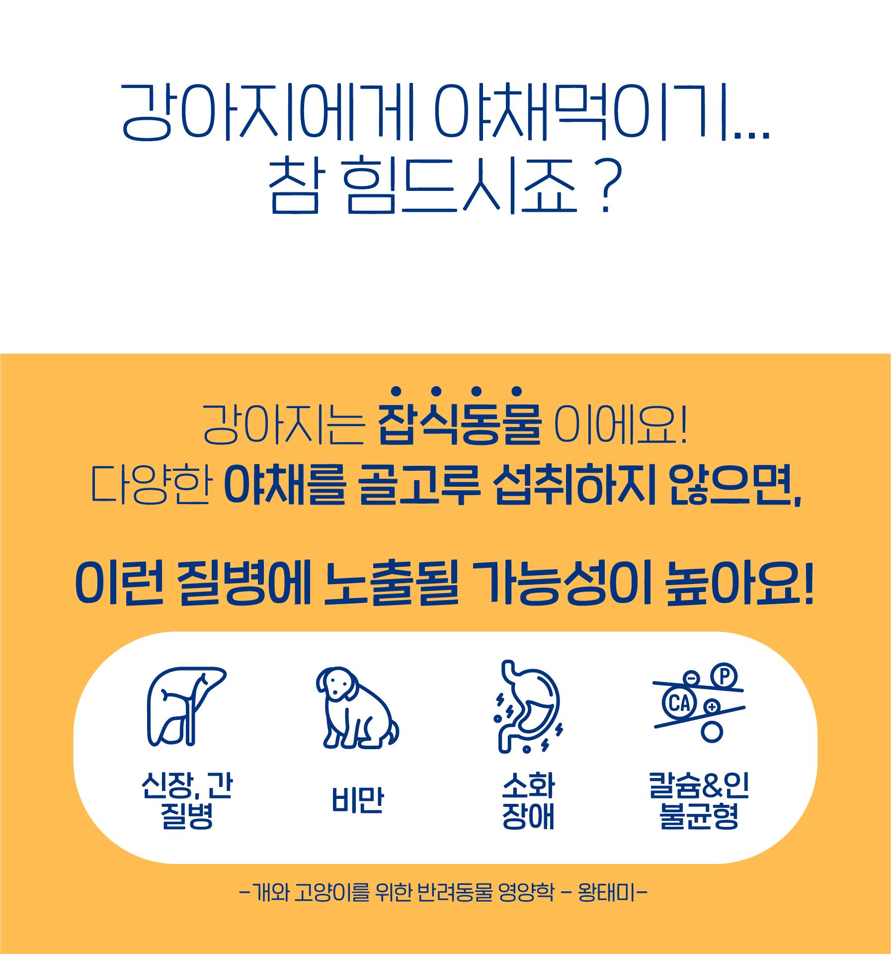[무료배송] 슈퍼포우 독 동결건조 치킨런 180g 19번째