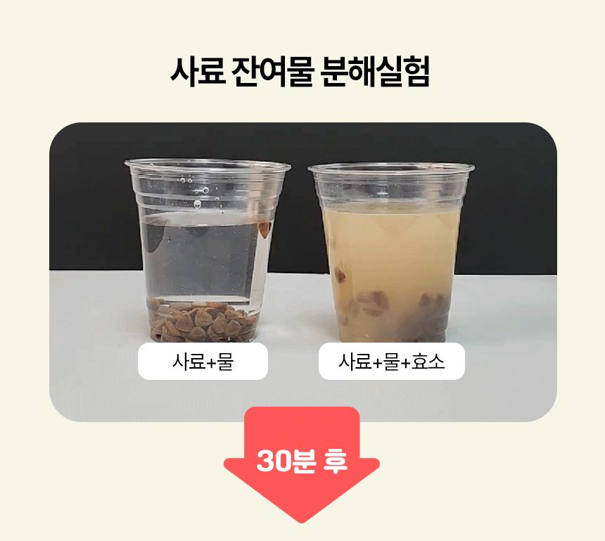 펫생각  하루치카 덴탈클린 딸기향 60g 15번째