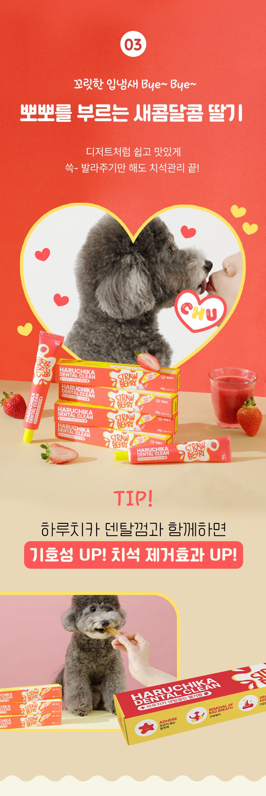 펫생각  하루치카 덴탈클린 딸기향 60g 17번째