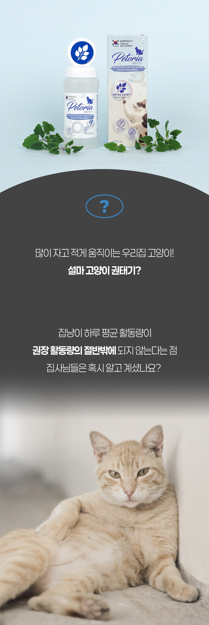 [NEW신상][무료배송] 펫토리아 무독성 고양이 장난감 캣닢 비눗방울 120ml 4번째