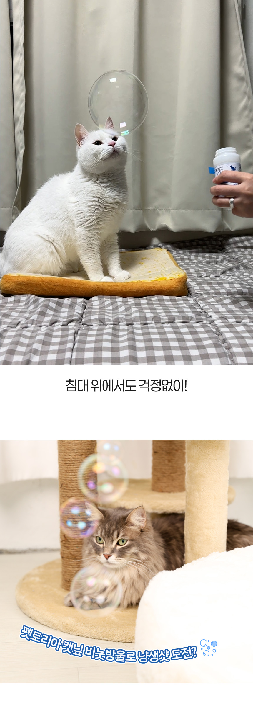 [NEW신상][무료배송] 펫토리아 무독성 고양이 장난감 캣닢 비눗방울 120ml 21번째
