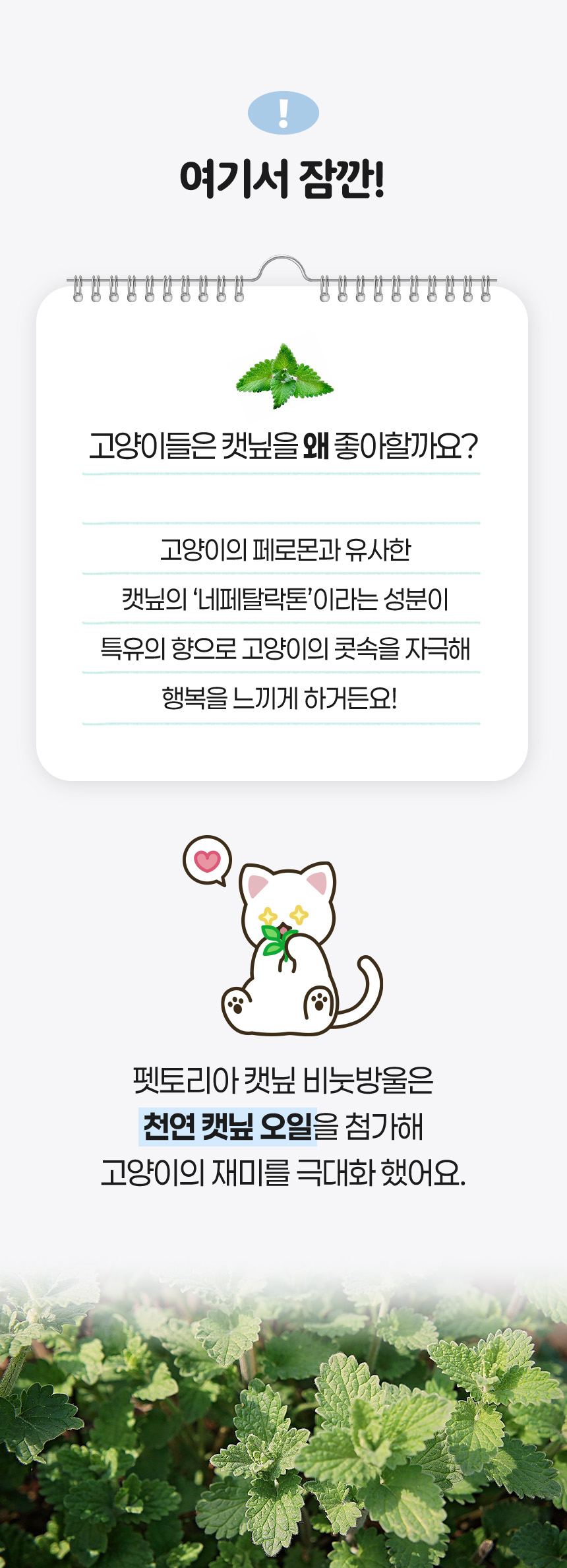 [NEW신상][무료배송] 펫토리아 무독성 고양이 장난감 캣닢 비눗방울 120ml 17번째
