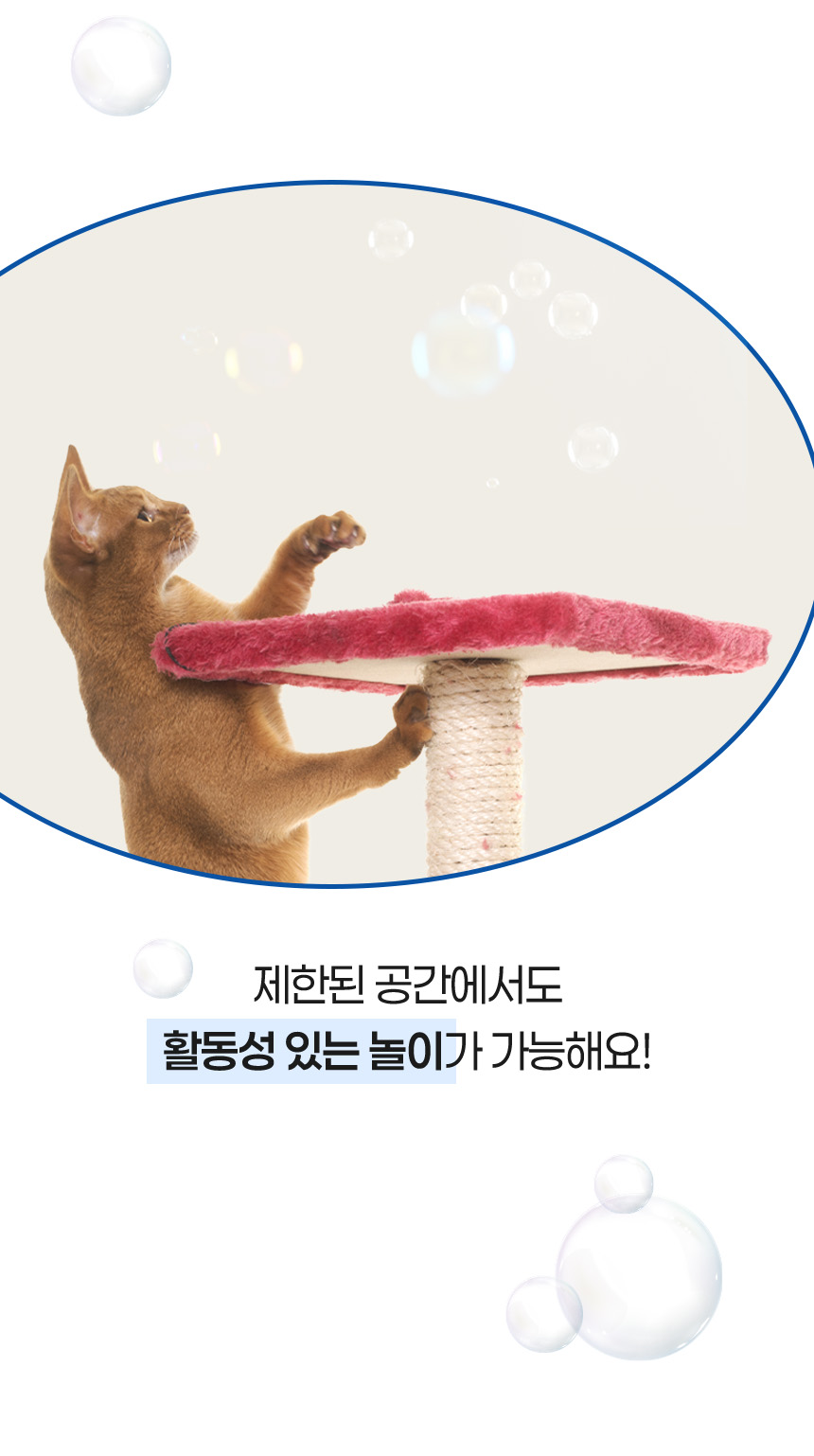 [NEW신상][무료배송] 펫토리아 무독성 고양이 장난감 캣닢 비눗방울 120ml 13번째