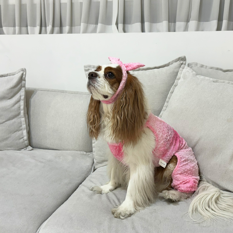 [무료배송] 해피댕댕 스카프set 물나염올인원 S - 2XL 7번째
