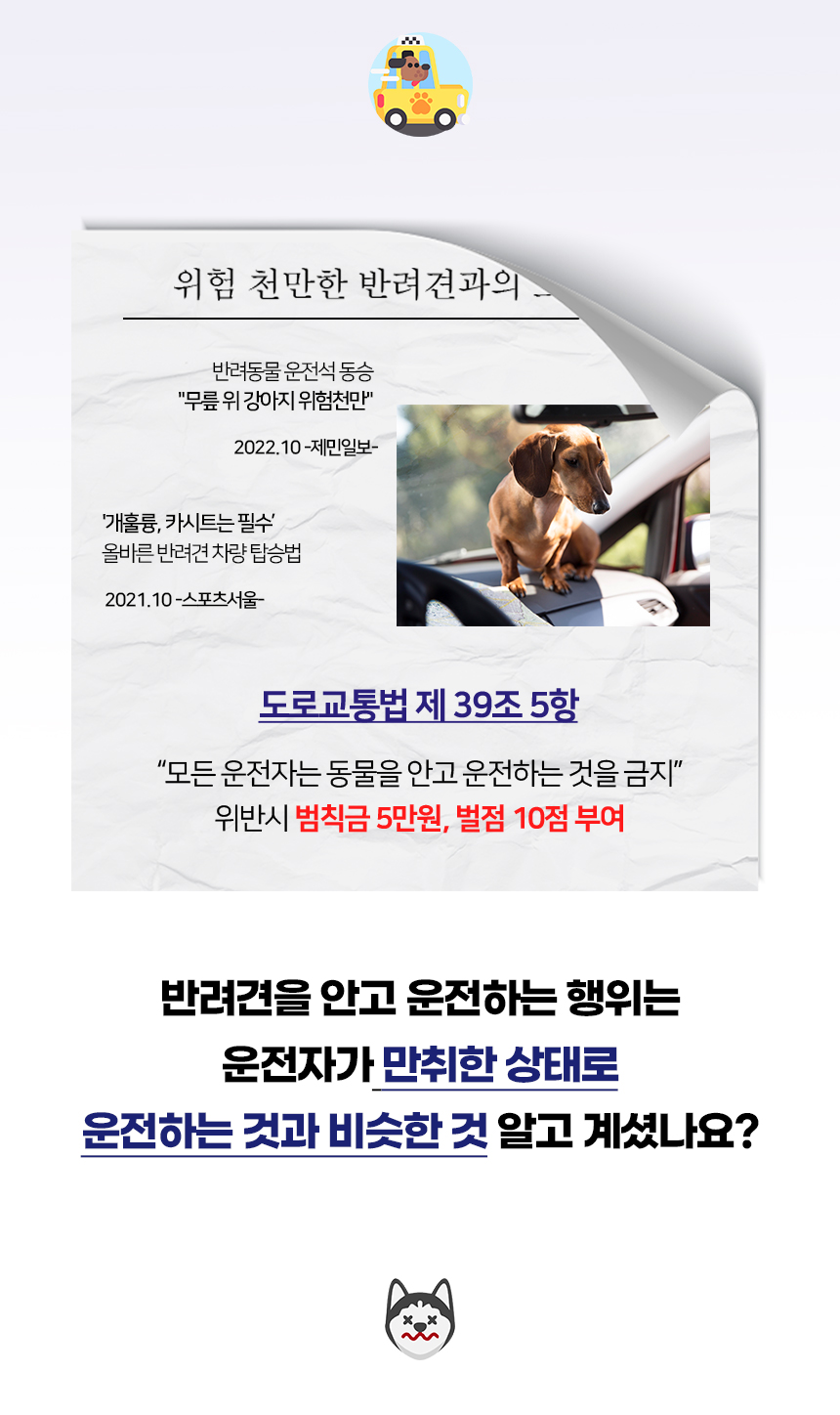[NEW신상][무료배송] 개과천선 독 라이드 카시트 (블랙/그레이/제트 블랙) 2번째