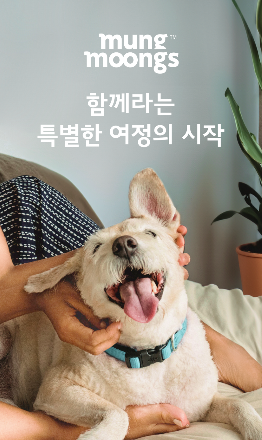 [무료배송] 멍뭉스 컴포트 소프트폼 쿠션 써니베이지/포그그레이 1번째