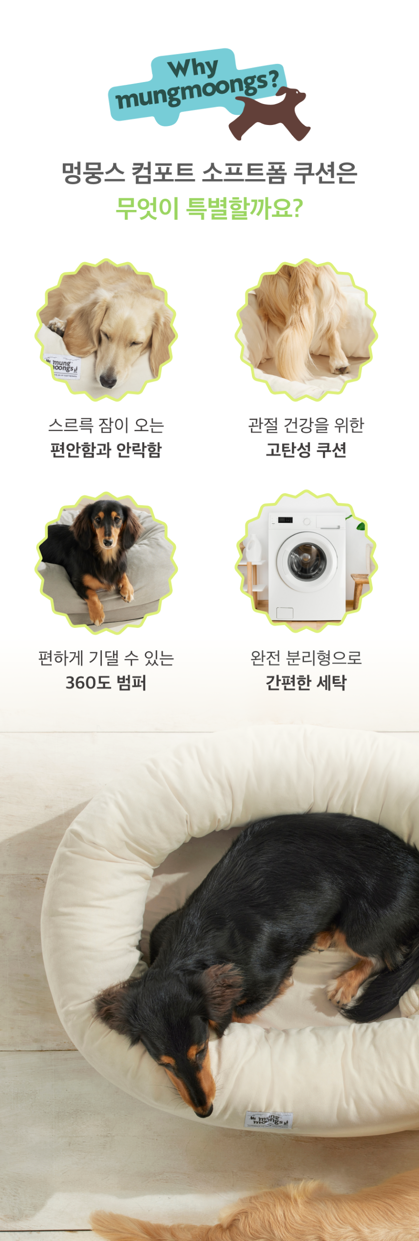 [무료배송] 멍뭉스 컴포트 소프트폼 쿠션 써니베이지/포그그레이 3번째