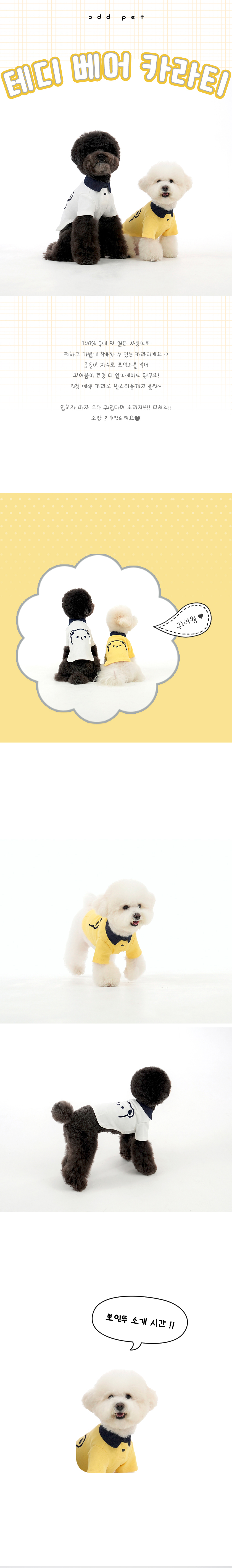 [무료배송] 오드펫 테디베어 카라티 옐로우/아이보리 S-XL 1번째