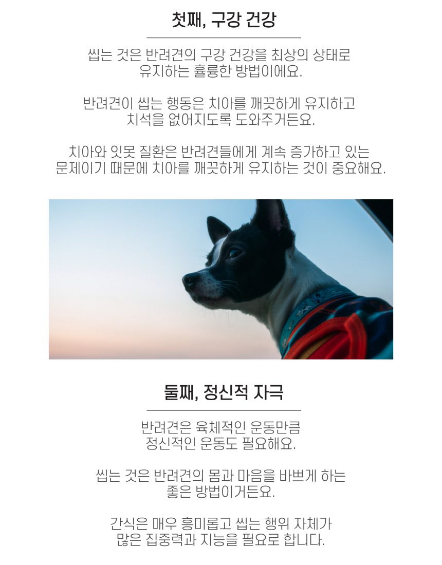엘리야 치킨링 치실 덴탈껌 10번째