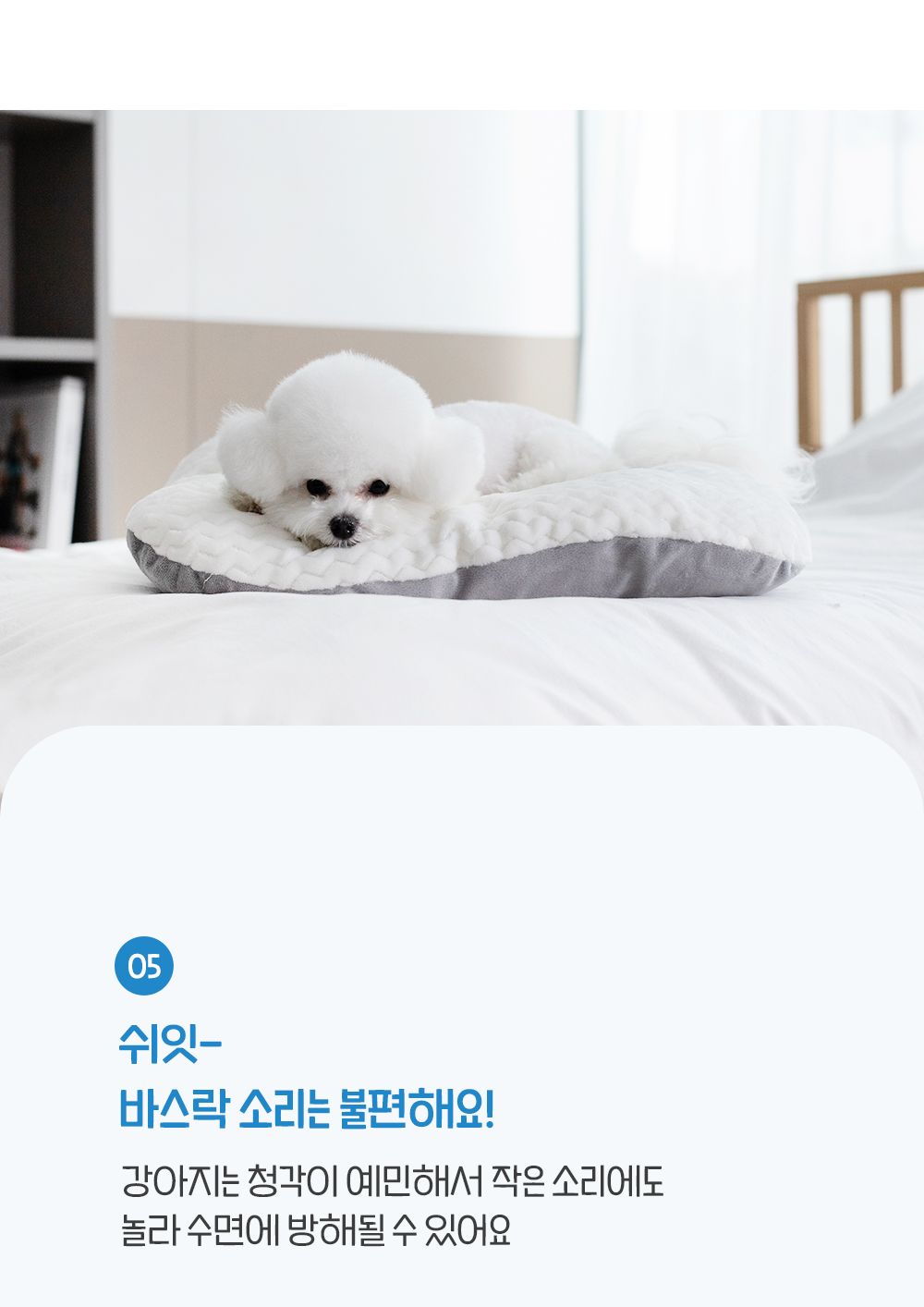 [무료배송] 뭉연구소 폭닥폭닥 마약 쫀득방석 M/L 17번째