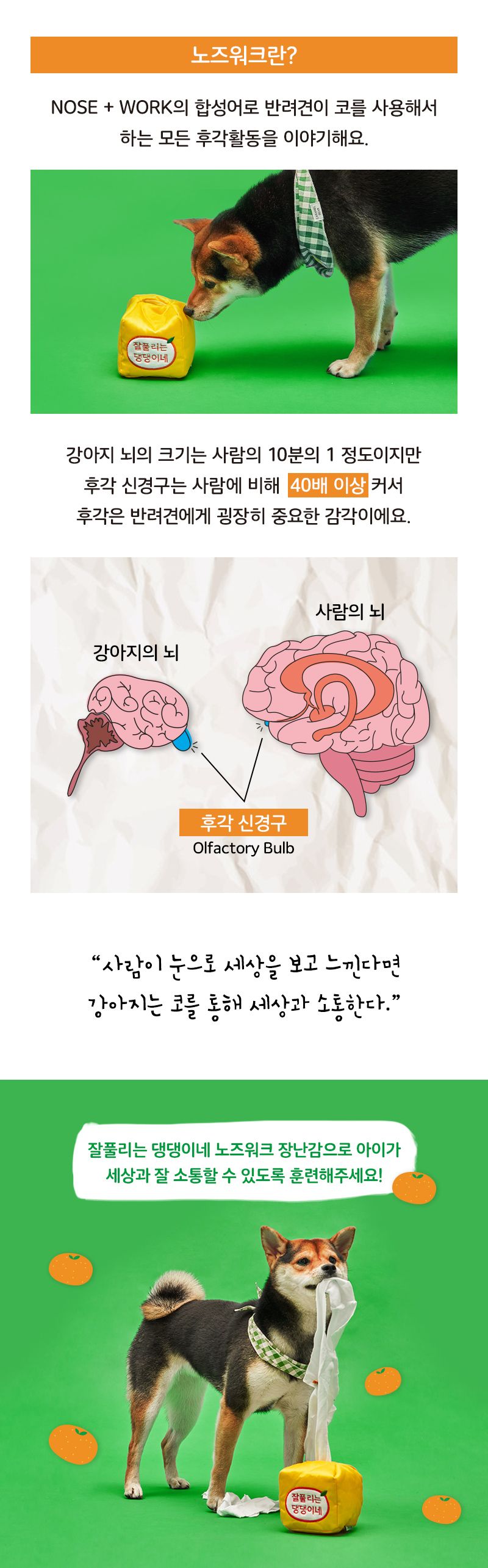 냥품멍품 멍티슈2 잘풀리는 댕댕이네 노즈워크 7번째