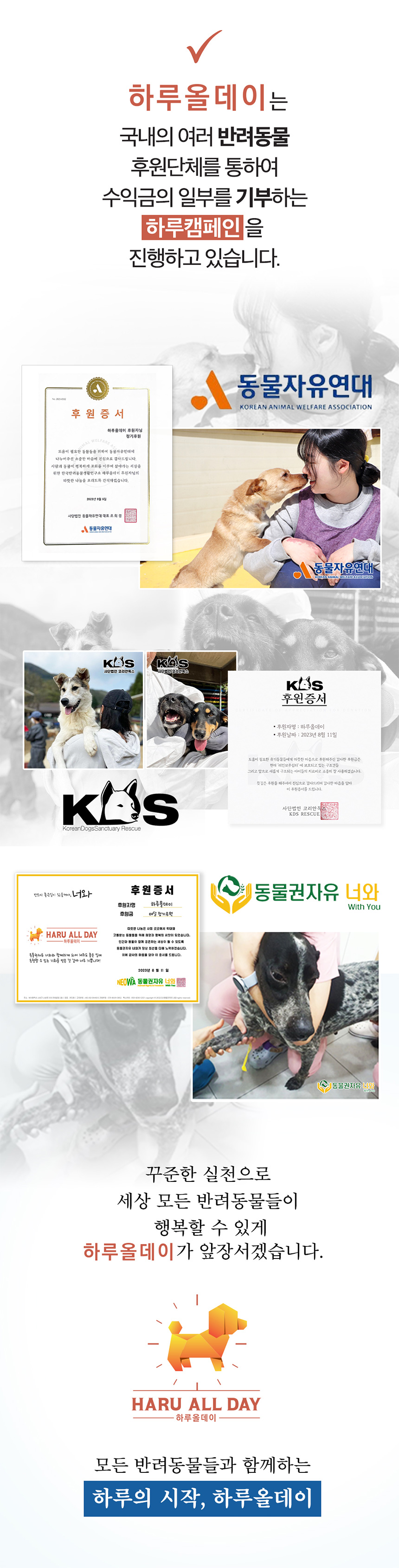 유유제약 하루올데이 강아지 눈 영양제 반려견 루테인 오메가3 눈물 자국 카제로템 2g x 30p 9번째