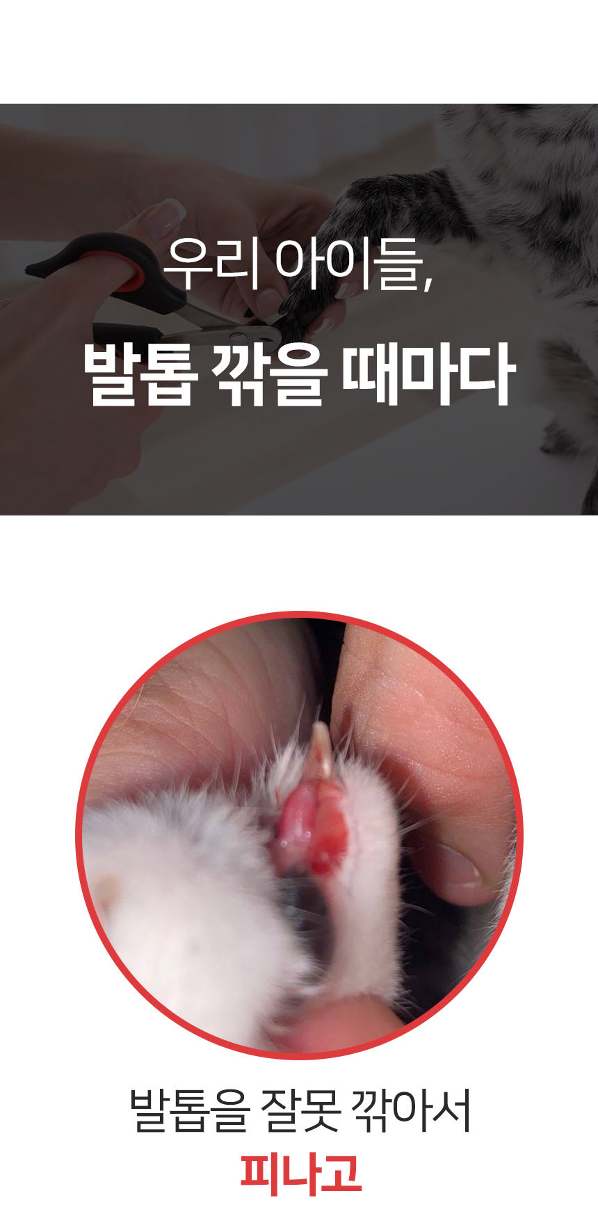 [무료배송] 펫토리아 LED 잘보여 안전 강아지 고양이 발톱깎이 5번째