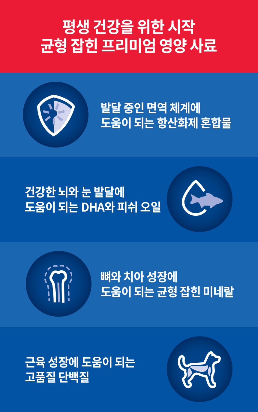 [NEW신상]힐스 캣 키튼 치킨 540g 3번째